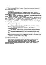 Referāts 'Laulības jēdziens', 5.