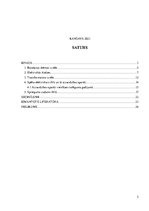 Referāts 'Apdzīvotas vietas elektroapgāde', 2.