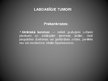 Prezentācija 'Ļaundabīgi un labdabīgi ādas audzēji ', 13.
