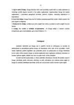 Referāts 'Līzings kā viens no izplatītākajiem kredītu veidiem Latvijā', 13.