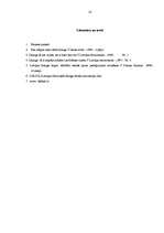 Referāts 'Līzings kā viens no izplatītākajiem kredītu veidiem Latvijā', 14.