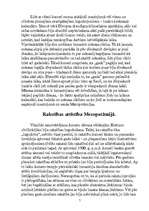 Referāts 'Divupe', 7.