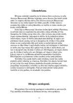 Referāts 'Divupe', 11.