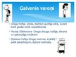 Prezentācija 'Džefs Kinnijs "Grega dienasgrāmata 4. Suņudienas"', 5.