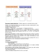 Konspekts 'Eiropas izpildes rīkojums', 5.