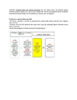 Konspekts 'Eiropas izpildes rīkojums', 12.