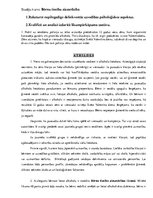 Paraugs 'Nepilngadīgo delinkventās uzvedības psiholoģiskie aspekti', 1.