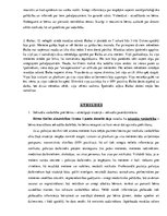 Paraugs 'Nepilngadīgo delinkventās uzvedības psiholoģiskie aspekti', 6.