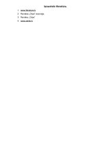 Eseja 'Laimas Muktupāvelasromāna "Cilpa” analīze', 7.