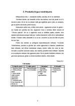 Biznesa plāns 'Krūzīšu un glāzīšu apgleznošana', 6.