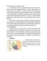 Diplomdarbs 'Investīcijas Latvijas nekustamā īpašuma tirgū', 41.