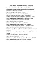 Referāts 'Turcija', 13.