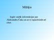 Prezentācija 'Aleksandrs Čaks', 2.