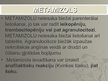 Prezentācija 'Metamizols', 6.