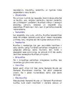 Referāts 'Nevalstisko organizāciu loma demokrātiskā sabiedrībā', 8.