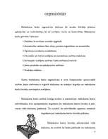 Referāts 'Norēķinu (maksājumu) kartes', 5.