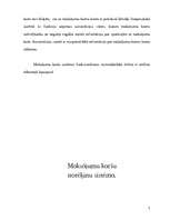 Referāts 'Norēķinu (maksājumu) kartes', 6.