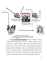 Referāts 'Norēķinu (maksājumu) kartes', 9.