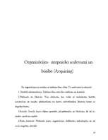 Referāts 'Norēķinu (maksājumu) kartes', 13.