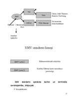 Referāts 'Norēķinu (maksājumu) kartes', 16.
