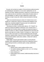 Prakses atskaite 'Prakses darbs mārketingā', 2.