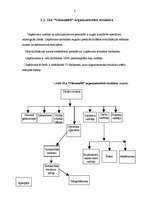 Prakses atskaite 'Prakses darbs mārketingā', 6.
