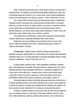 Prakses atskaite 'Prakses darbs mārketingā', 11.