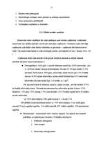 Prakses atskaite 'Prakses darbs mārketingā', 15.