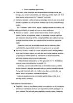 Prakses atskaite 'Prakses darbs mārketingā', 16.