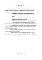 Prakses atskaite 'Prakses darbs mārketingā', 28.