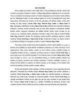 Referāts 'Pirmā iespaida par viesnīcām Tallink Hotel Riga, Mercure Riga Centre un Opera Ho', 25.