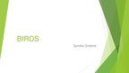 Prezentācija 'Birds', 1.
