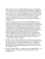 Prezentācija 'Birds', 16.