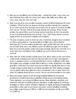 Prezentācija 'Birds', 17.