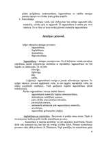 Referāts 'Atmiņa', 8.