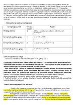 Paraugs 'Savrupinājumi, iespraudumi', 2.