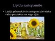 Prezentācija 'Lipīdi', 10.