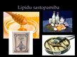 Prezentācija 'Lipīdi', 11.