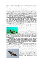 Referāts 'Izraēla', 4.