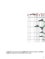 Paraugs 'Daudzlaidumu locīklu sijas aprēķins', 18.