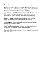 Konspekts 'Grāmatas "Pērļu zvejnieks" analīze', 4.