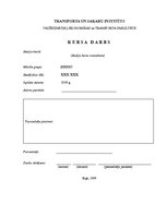 Biznesa plāns 'Курсовая работа', 1.