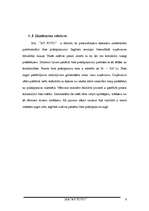 Biznesa plāns 'Biznesa plāns neprofesionāliem fotogrāfiem', 5.