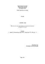 Referāts 'Organizāciju socioloģija', 1.