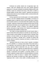 Referāts 'Organizāciju socioloģija', 2.