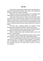 Referāts 'Debitoru parādu pārvaldīšana', 2.