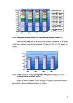 Referāts 'Debitoru parādu pārvaldīšana', 7.