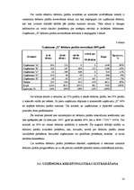 Referāts 'Debitoru parādu pārvaldīšana', 13.