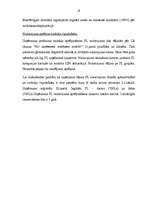 Prakses atskaite 'Prakse finanšu grāmatvedībā', 16.