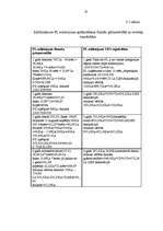 Prakses atskaite 'Prakse finanšu grāmatvedībā', 17.